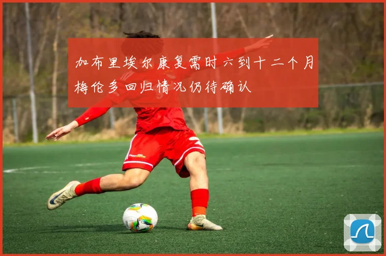 加布里埃尔康复需时六到十二个月梅伦多回归情况仍待确认